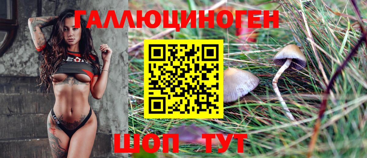 Псилоцибиновые грибы прущие грибы Орехово-Зуево